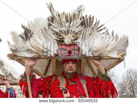 Feather Mask Costume