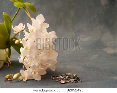 Fine and a beauty