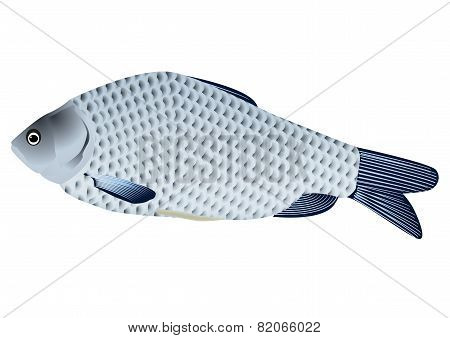 crucian
