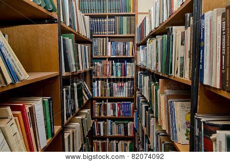 Shelving Books In The Library
