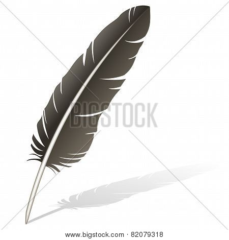 Darkbrown_feather-01.eps