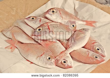 Fresh Fish  With Red Scales