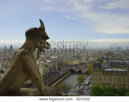 Notre Dame Gaurdian