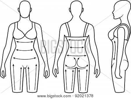 Woman mannequin slimming underwear torso