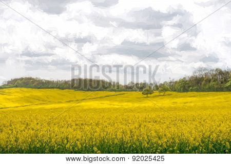 Two Trees In A Rapeseed Field