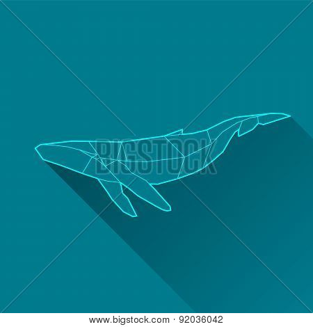 Whale Wireframe