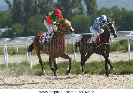Horse Racing.