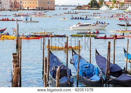 Italy. Venice. Vogalonga Regatta.