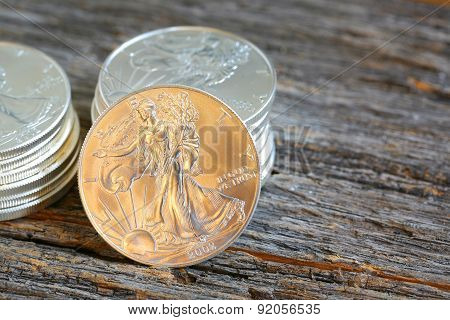 Walking Libery Silver Coins