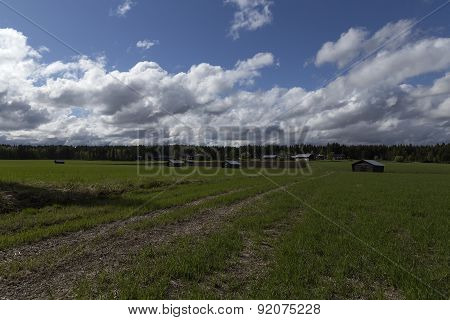 The road to the horizon