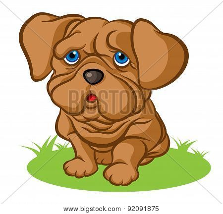 Sad puppy