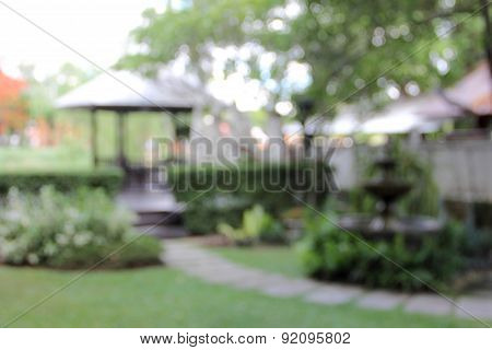 Blur Garden Park Nature Tree And Walk Way