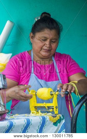 PANCHIMALCO EL SALVADOR - MAY 08 : A Salvadoran woman sells fruits during the Flower & Palm Festival in Panchimalco El Salvador on May 08 2016