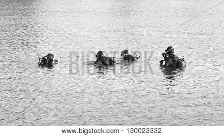 Divers ready for descent BW / Four divers in the water are preparing for descent. Black and white.