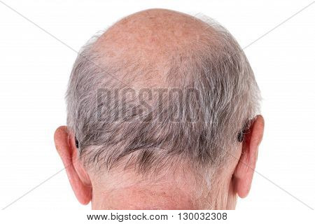 Back of the bald head of old man. Back view. Isolated on a white background.