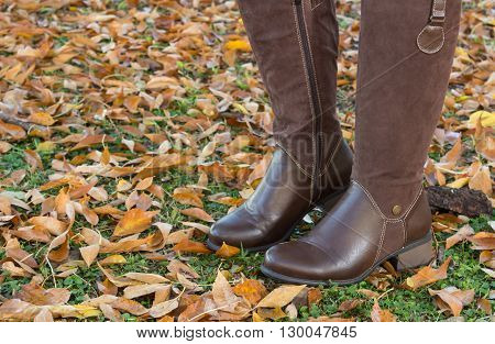 Pair of female brown kneehigh boots on autumn leaves