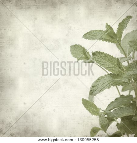 Textured Old Paper Background
