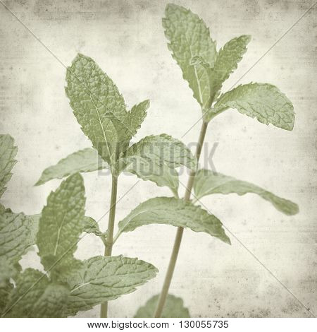 Textured Old Paper Background