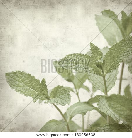 Textured Old Paper Background