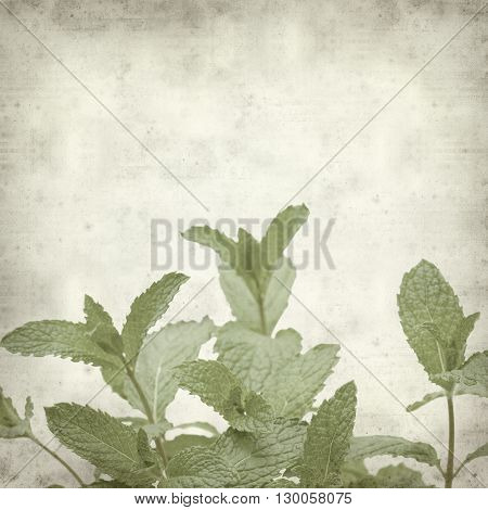 Textured Old Paper Background