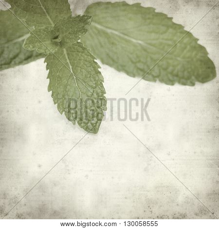 Textured Old Paper Background