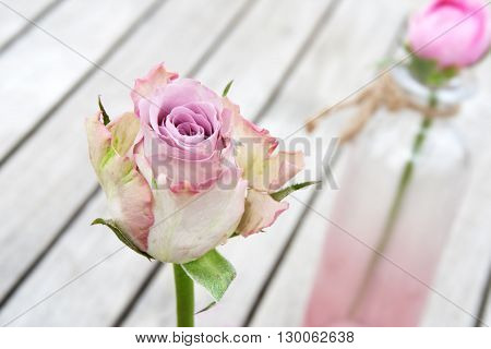 Pastel rose on a wooden table in front of a glass vase with a flower
