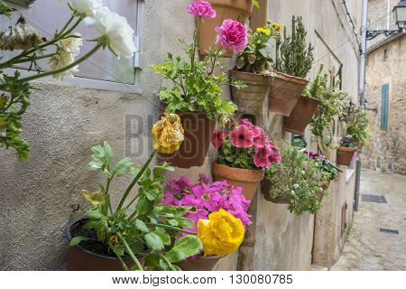 vacation, flowerpots street in the tourist island of Mallorca, Valdemosa city in Spain