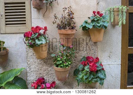 flowerpots street in the tourist island of Mallorca, Valdemosa city in Spain