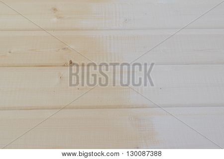 untreated wood panels made of pine wood background