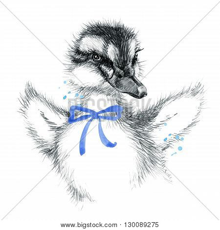 Cute Duckling. duckling pencil sketch illustration. T-shirt print with cute duckling. Poster for kid. Greeting card.