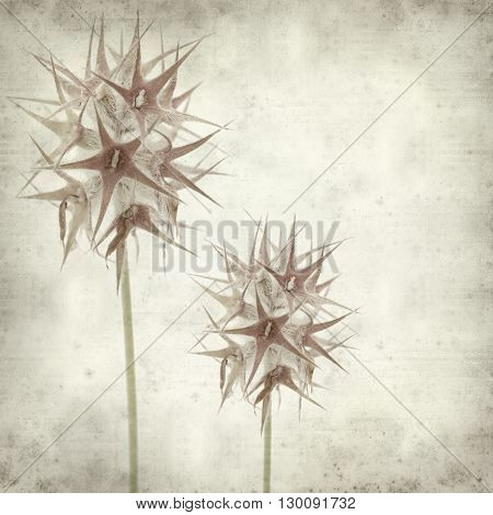 Textured Old Paper Background