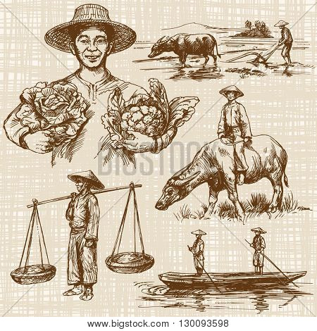 Asian farmers working on Field. Asian farmer with vegetables. Hand drawn illustration.