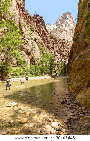 Zion National Park Utah USA - June 03 2015: Tourist hiking on the shippery rocks along Virgin River in the Narrows of Zion National Park surrounded by the walls of the canyon.