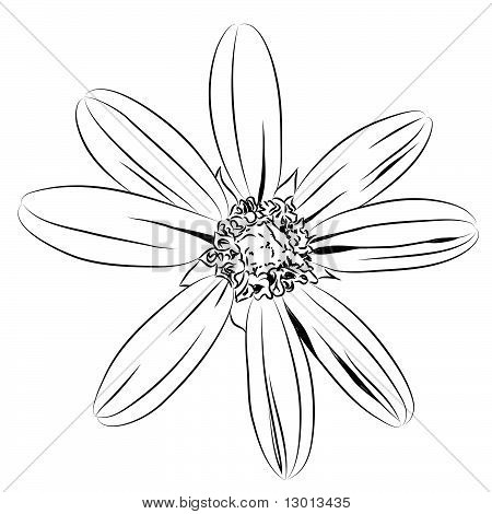 flor hermosa