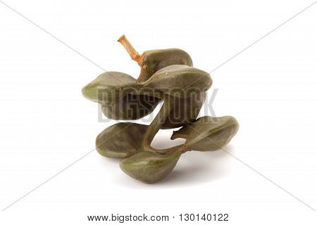 Archidendron Jiringa Seeds