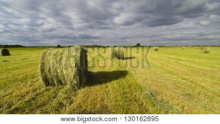 haystacks on the field with side lighting in the summer