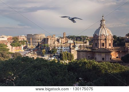 View of the historical center of Rome and of the Colosseum, on a sunny spring day. Flying seagull out of focus
