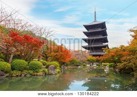 Toji Temple in Kyoto Japan in Autumn