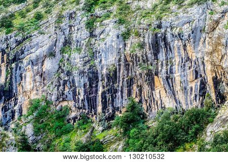 hydrocarbons traces on a mountain. Calabria, Italy