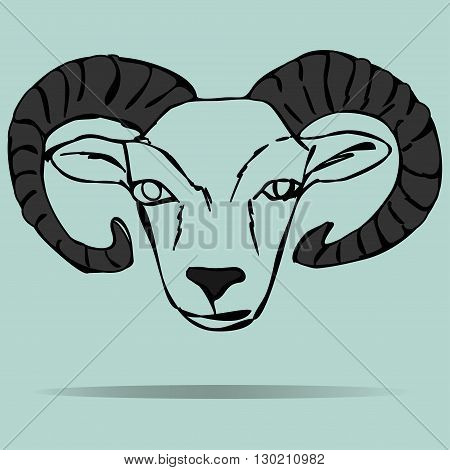 Head of ram mascot on a colored background