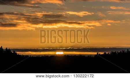 sunset view with golden color over the woods