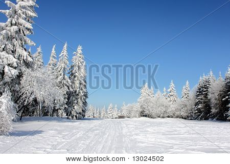 paesaggio invernale