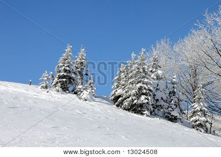 paesaggio invernale