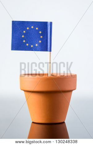 Plant Pot With European Flag