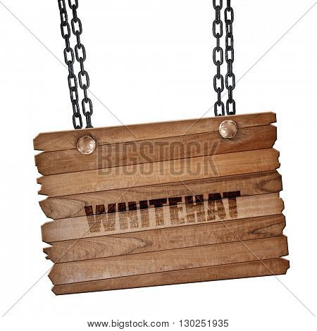 whitehat, 3D rendering, wooden board on a grunge chain