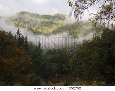Niebla de montaña durante el otoño