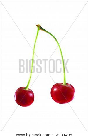 Ciliegio