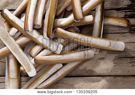 Atlantic jackknife shells with sand on weathered wood
