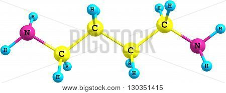 Putrescine - tetramethylenediamine - is a foul-smelling organic chemical compound - butanediamine - that is related to cadaverine. 3d illustration