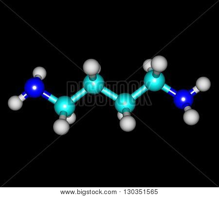 Putrescine - tetramethylenediamine - is a foul-smelling organic chemical compound - butanediamine - that is related to cadaverine. 3d illustration